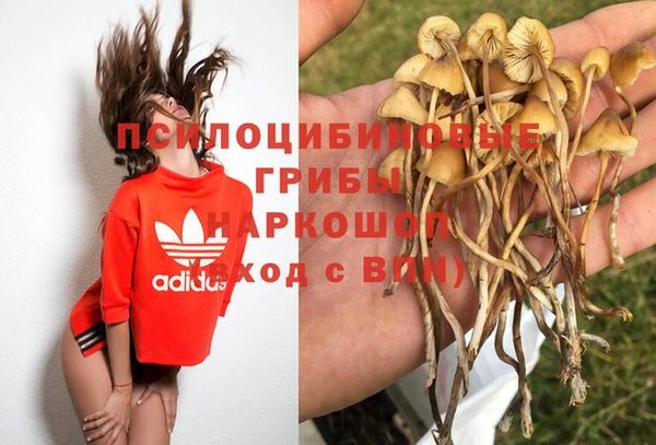 PSILOCYBIN Алзамай