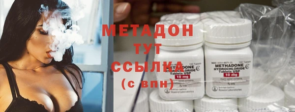 PSILOCYBIN Алзамай