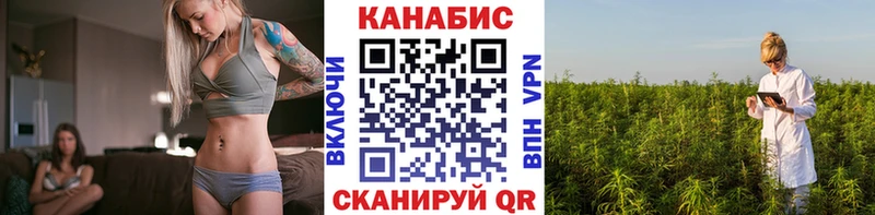 МАРИХУАНА тримм  купить наркоту  Асино 